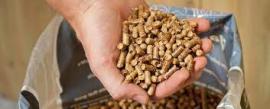 Pelletit Kuusi | Polttopuu, briketit | SCOPULUS Handels-und Dienstleistungs GmbH
