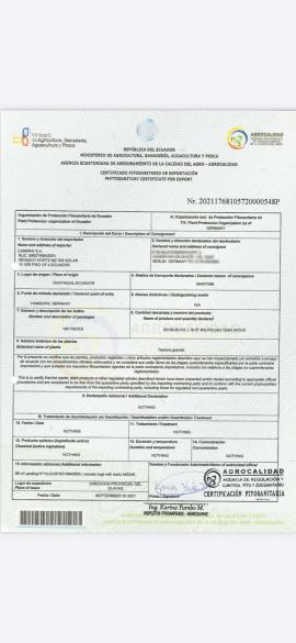 Tiikki Sahatukit |  Trooppinen puu | Hirret | SOFT IT SP .ZO.O SPÓŁKA Z OGRANICZONĄ ODPO