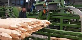 Muut laitteet Kompletn výroní Linka kulů . | Sahauskoneet | Puutyökoneet | Drekos Made s.r.o