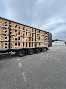 Kuormalavat Kertakäyttöiset kuormalavat | Pakkaukset, kuormalavat | Woodproo s.r.o.