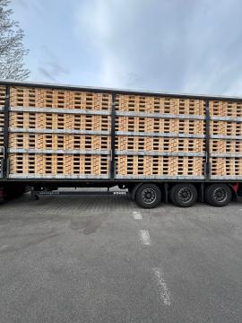 Kuormalavat Kertakäyttöiset kuormalavat | Pakkaukset, kuormalavat | Woodproo s.r.o.