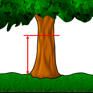 Mitta - Läpimitan halkaisija #1