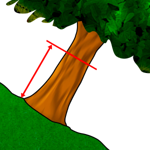 Mitta - Läpimitan halkaisija #2